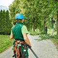 What skills do you need to be a tree groundsman?