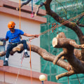What equipment do you need for a tree service?