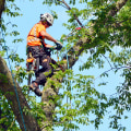 How big is the arborist market?