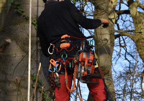 What ppe is required for tree work?