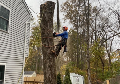 Do tree services need to be licensed in pa?
