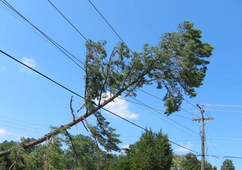 What happens if a tree falls on a power line?