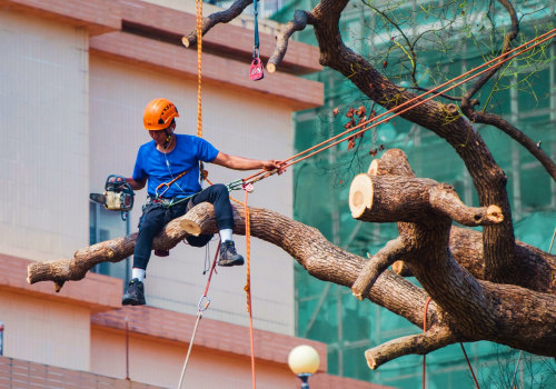 What equipment do you need for a tree service?