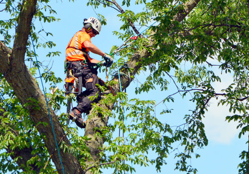 How big is the arborist market?