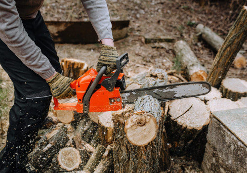 What is a tree trimmer person called?