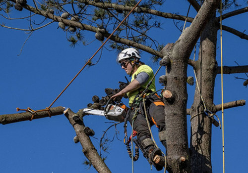 What is the tree service industry called?